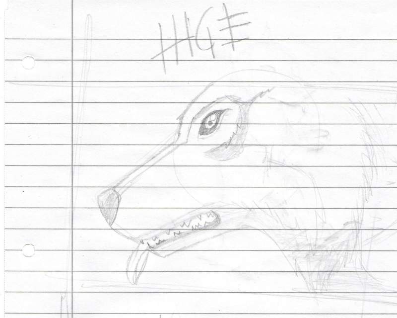 Hige