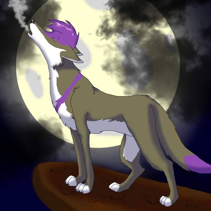 art trade with canadian wolf