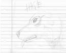 Hige