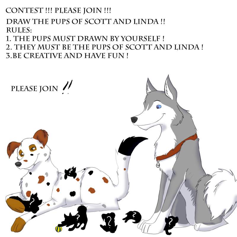 Contest !!!!