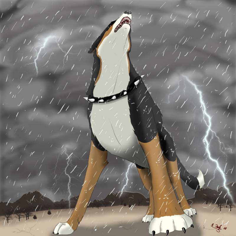 Wan Dahl in the rain