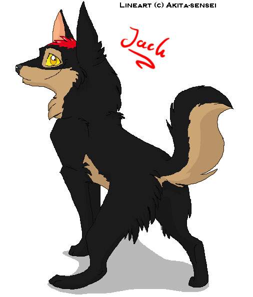 jack