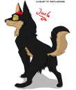 jack