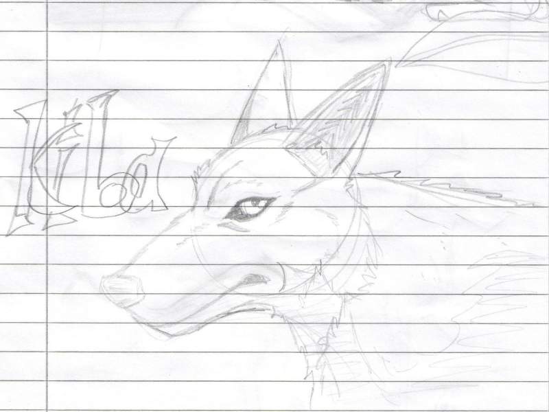 Kiba