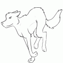 running wolf