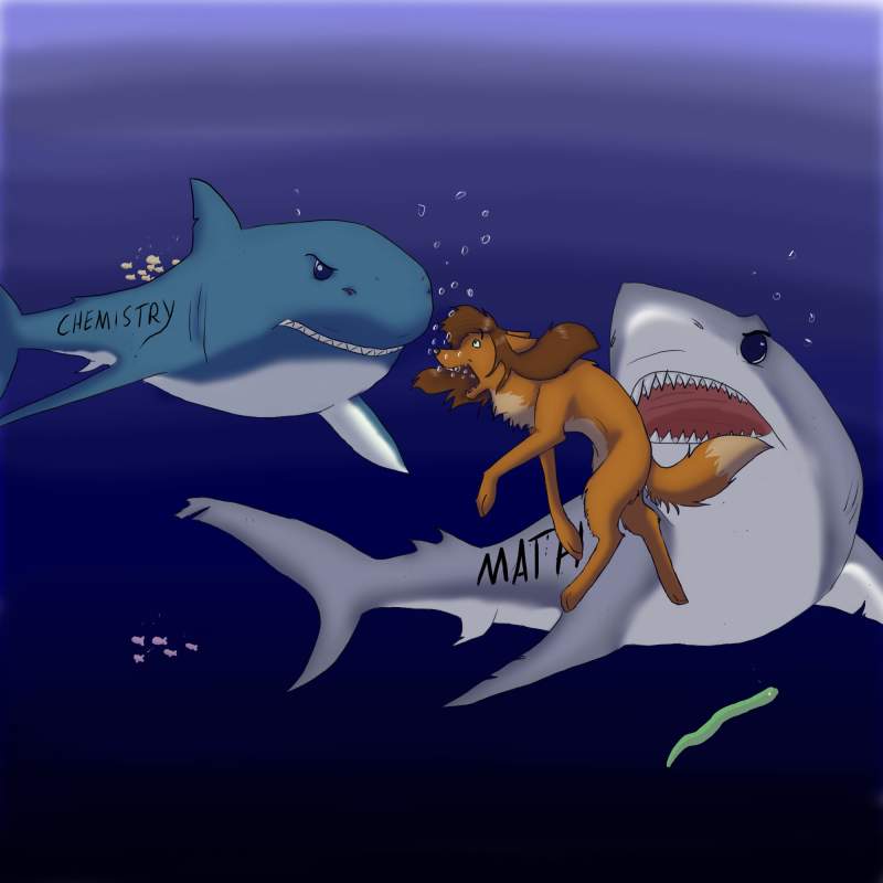 shark attack 