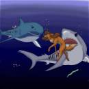 shark attack 