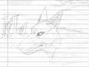 Kiba