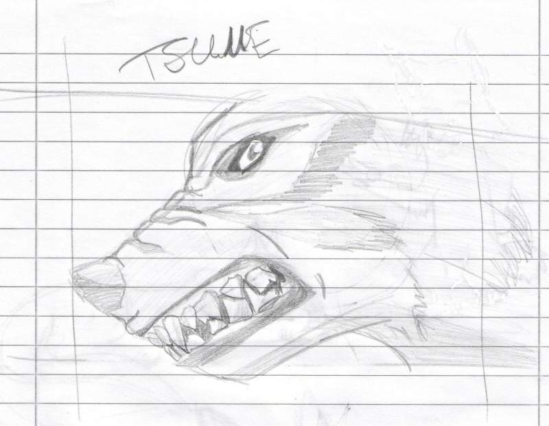Tsume
