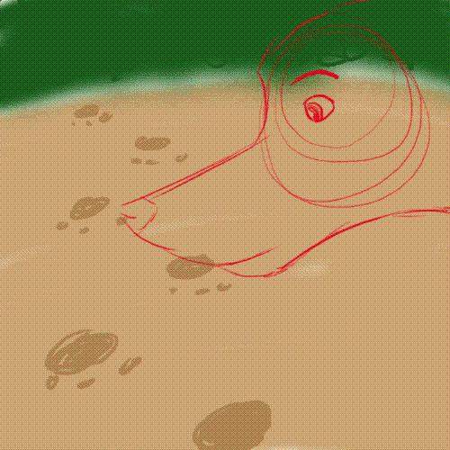 animation test