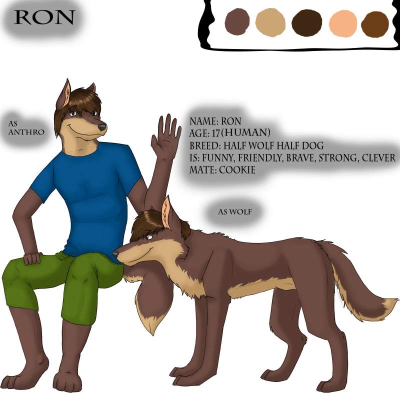 ref. sheet - Ron 2008