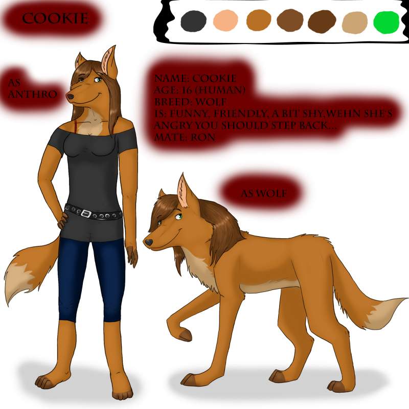 ref. sheet - Cookie 2008