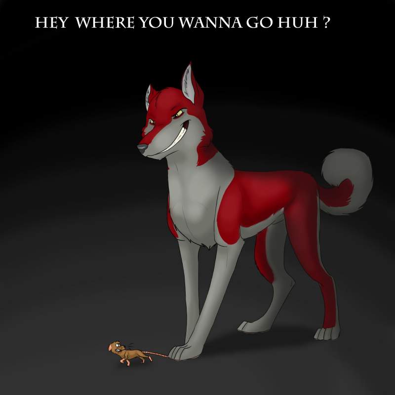hey where you wanna go huh ?