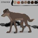 Strider - ref sheet