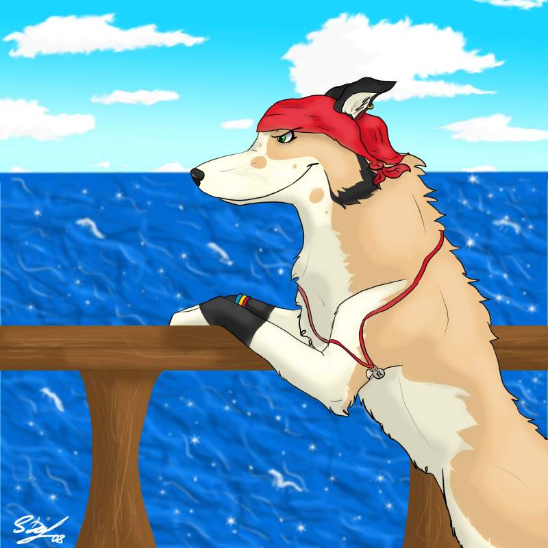 art trade - nollie