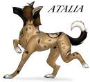 Atalia
