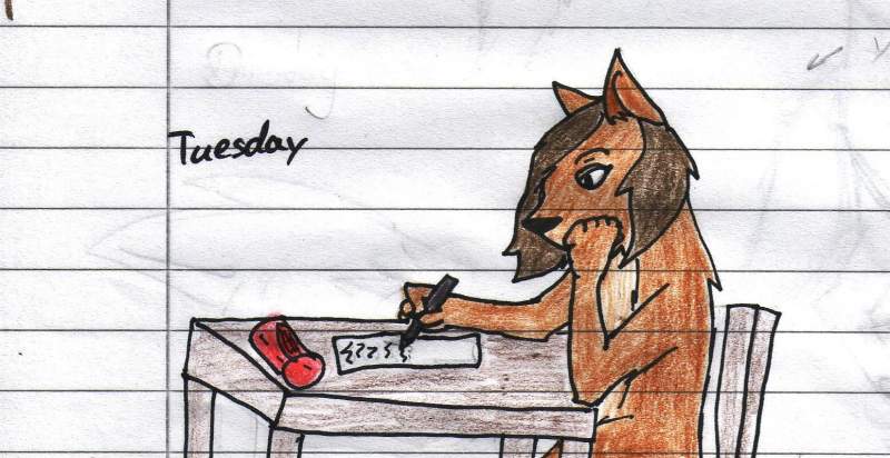 Tuesday
