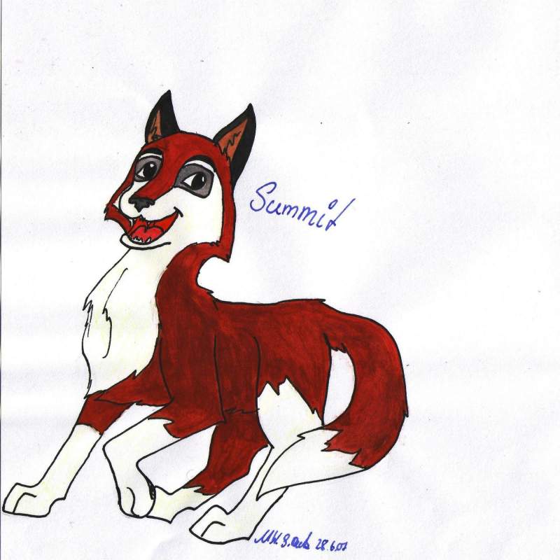 Summit from heidisart