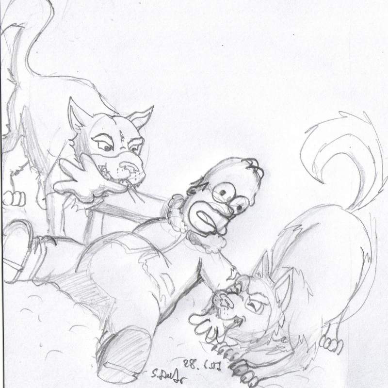 Homer with Huskies