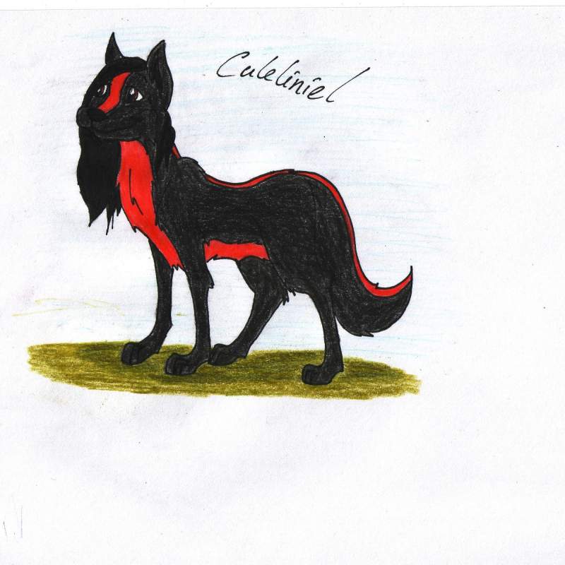 i got a name !! Culeliniel