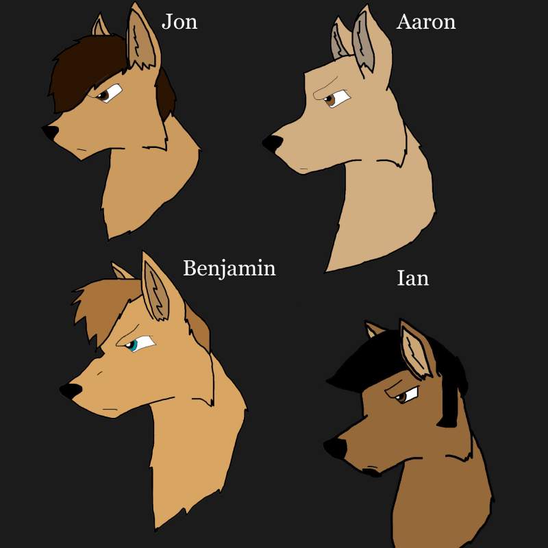 Billy Talent as Wolves XD