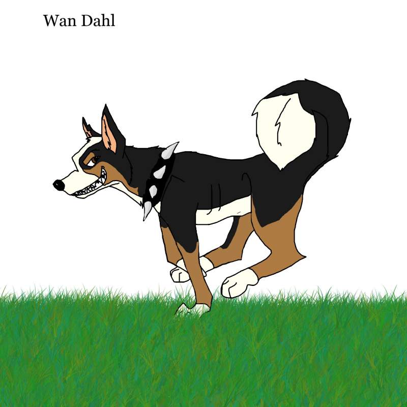  Wan Dahl 