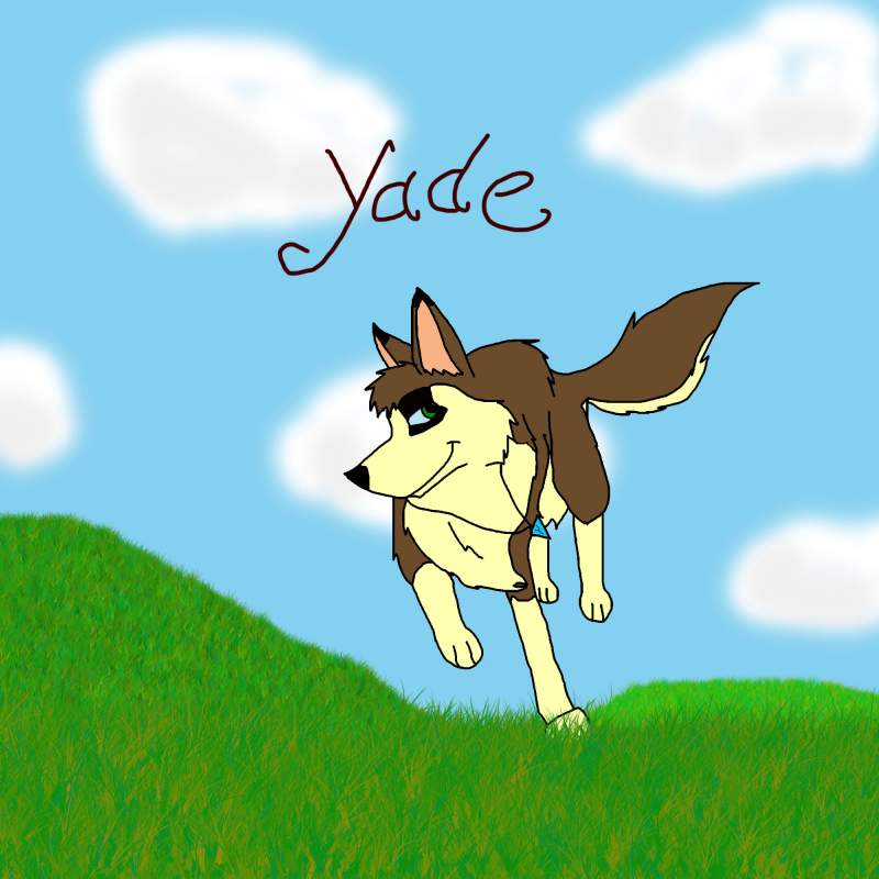 Yade