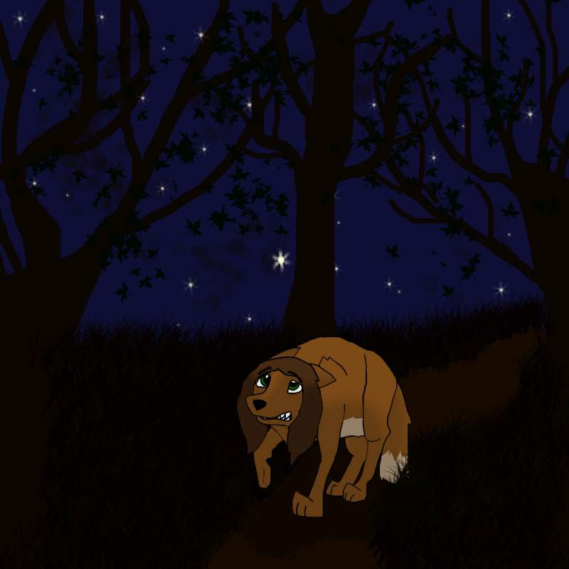 Alone in the forest 