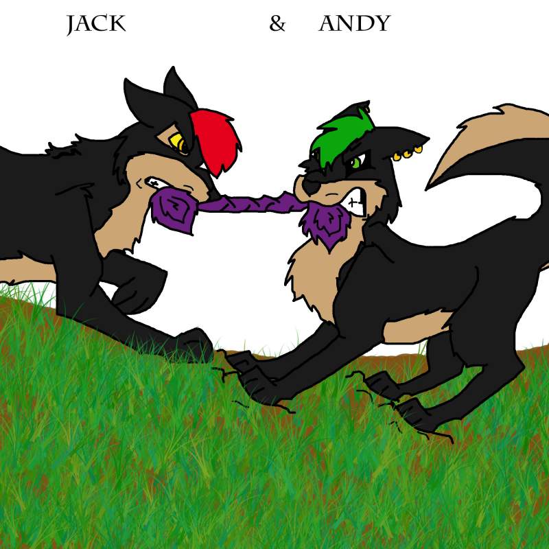 Jack & Andy