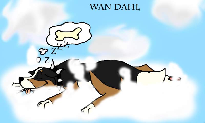 Sleeping Wan Dahl