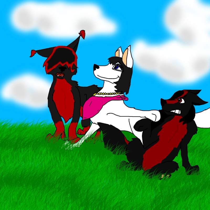 Lofu, a ''Random'' wolf and Culeliniel