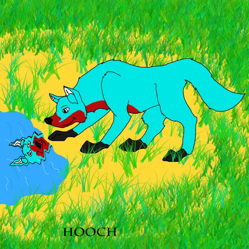 Hooch