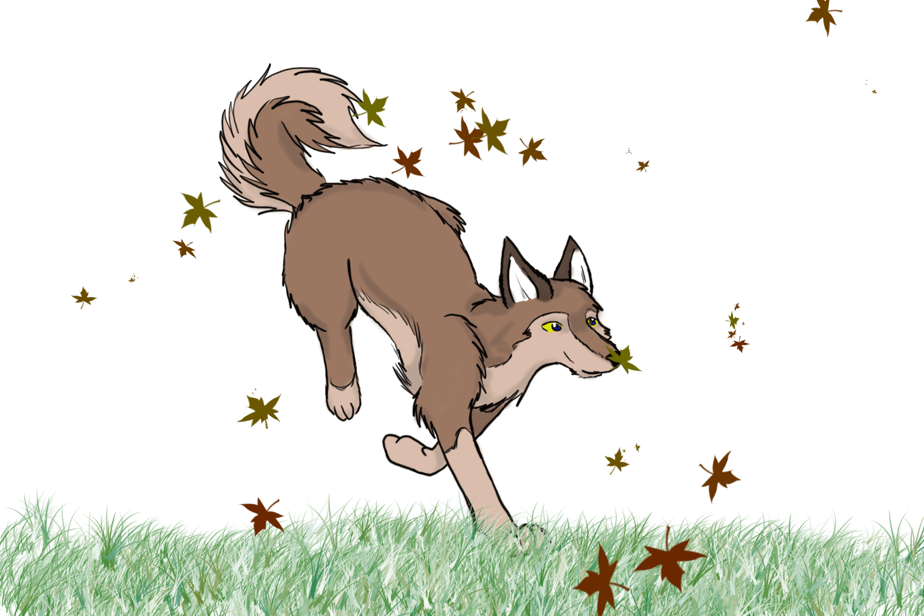 Aleu