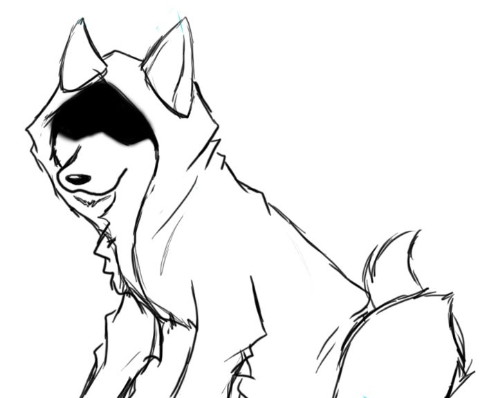 Hooded Wolf