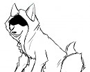 Hooded Wolf
