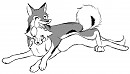 Tribe Wolf Play
