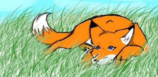 Fiz request