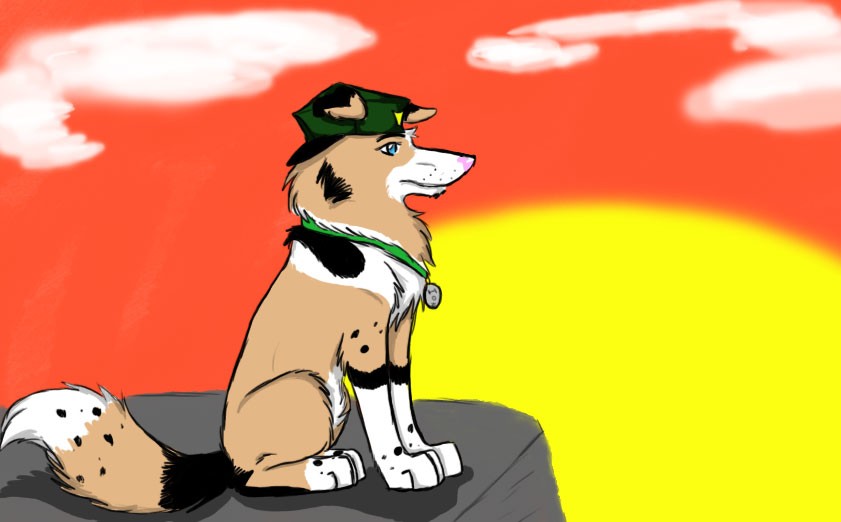 Lone Soldier