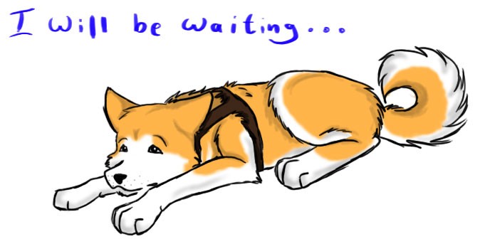 Waiting Hachiko