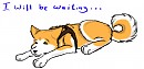 Waiting Hachiko