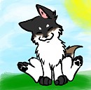 Ginji as a pup