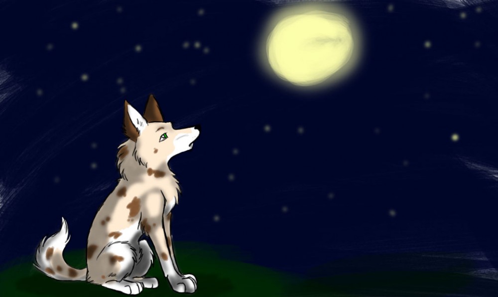 Starry Night