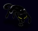 Dark Wolf