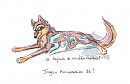5 ans, déjà!