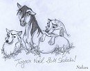 Joyeux Noël 2011 Shal'!
