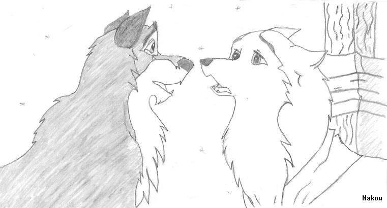 Balto et Jenna vieillis