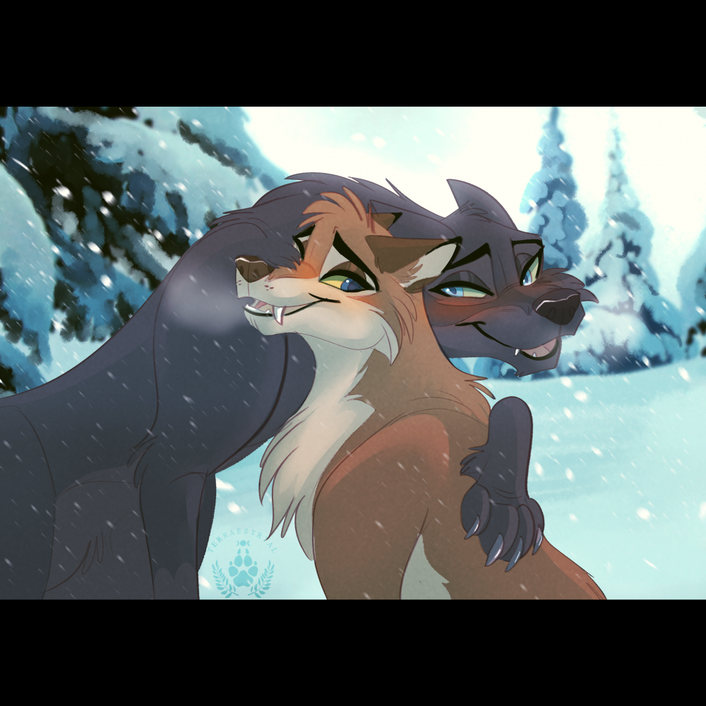 Warm in the cold
