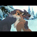 Warm in the cold