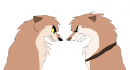 Sirc vs Aleu