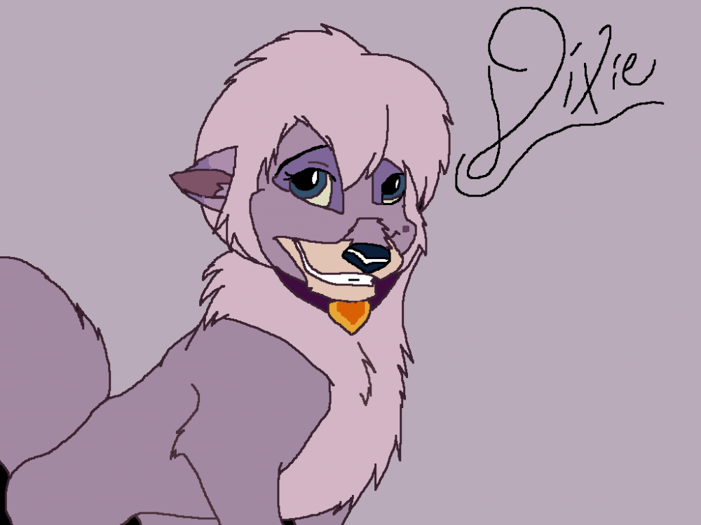 dixie drawing